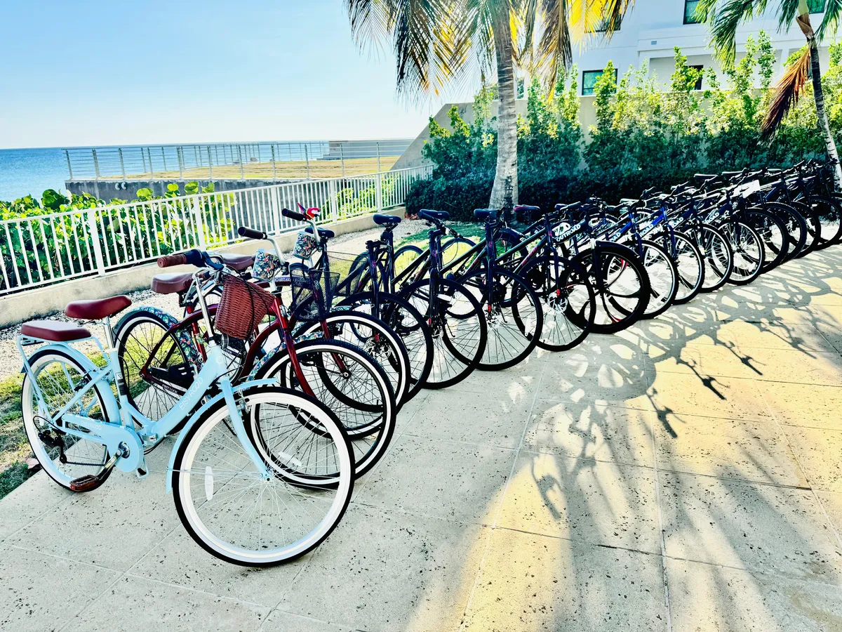 Bikes / All Styles