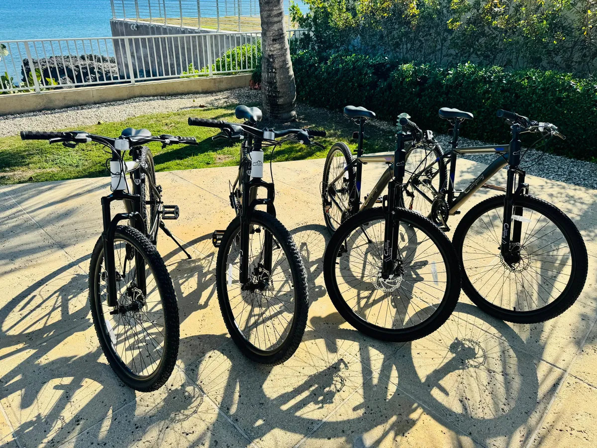 Bikes / All Styles