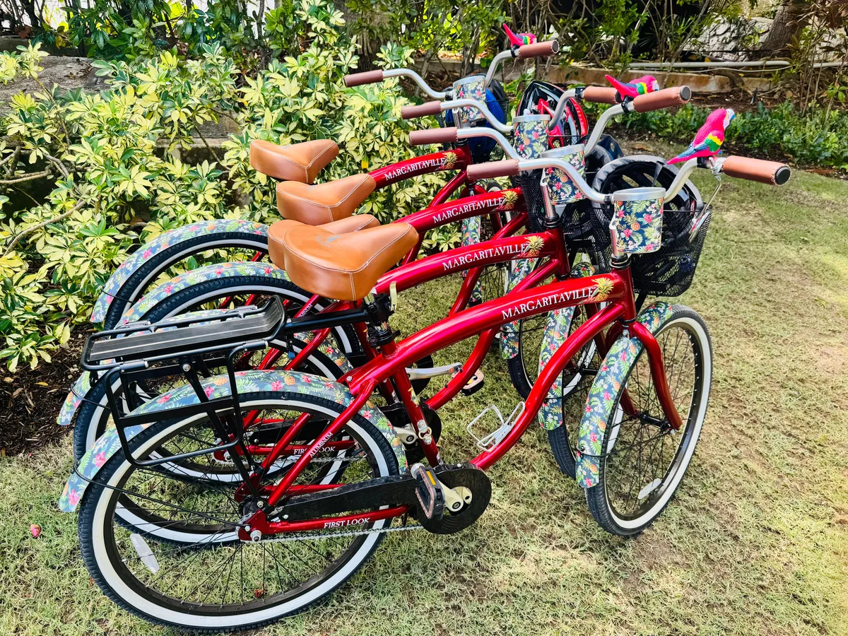 Bikes / All Styles