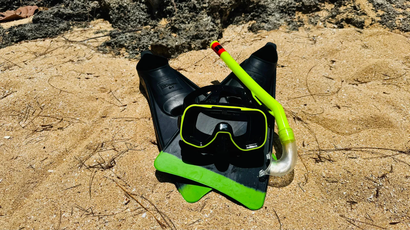 Adult Snorkel Set