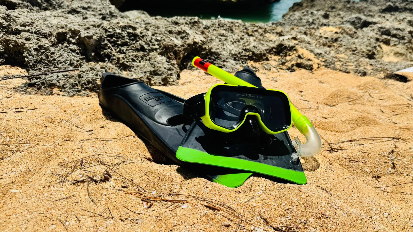 Adult Snorkel Set