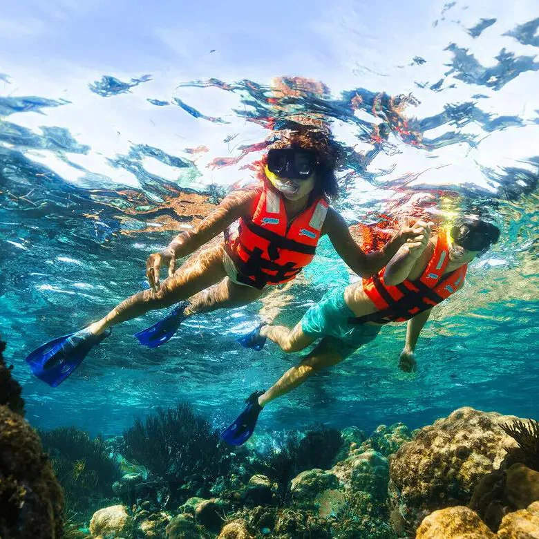Vibrant rental equipment setup on the beach