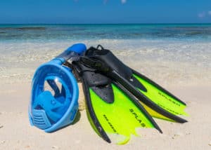 Snorkel Gear