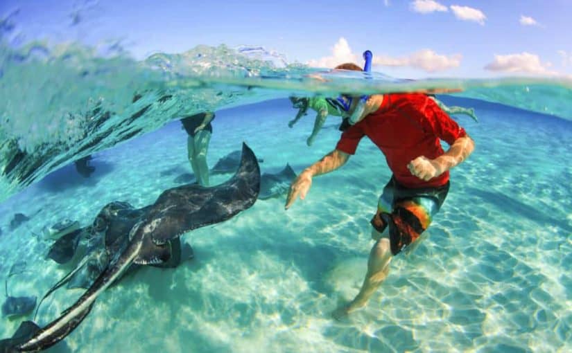 Experiences in Grand Cayman