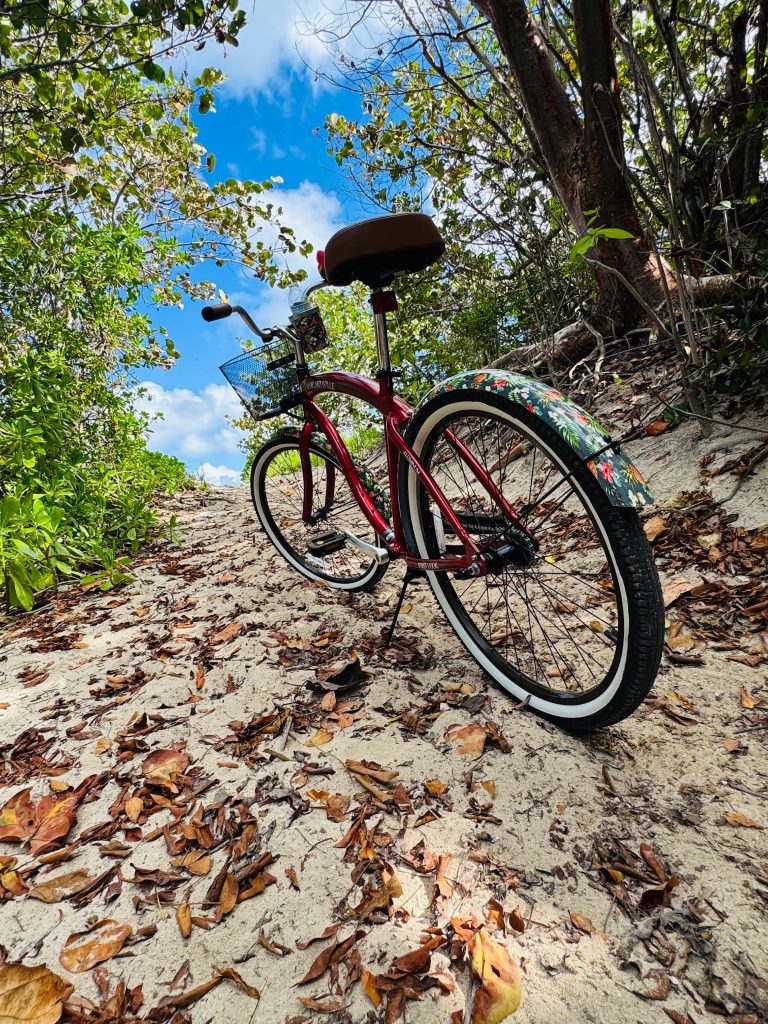 Adult Bikes (Cruiser, Mountain & Hybrid) - Adventura Cayman Island Rentals